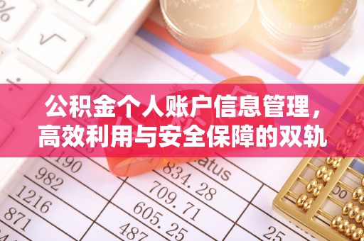 达坂城公积金个人账户信息管理，高效利用与安全保障的双轨并行