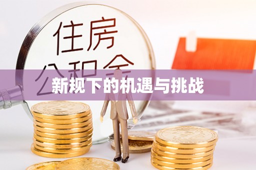 达坂城新规下的机遇与挑战