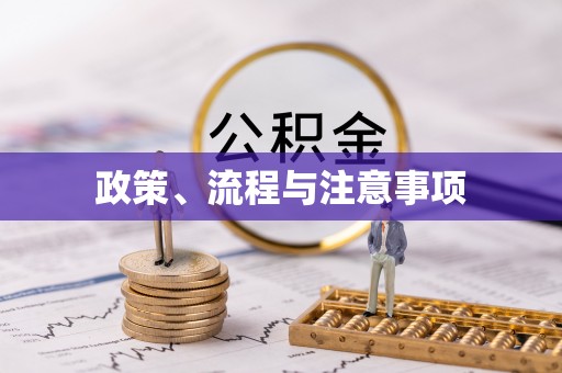达坂城政策、流程与注意事项