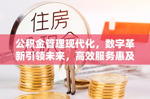 达坂城公积金管理现代化，数字革新引领未来，高效服务惠及民生