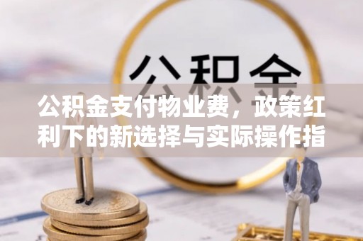 达坂城公积金支付物业费，政策红利下的新选择与实际操作指南