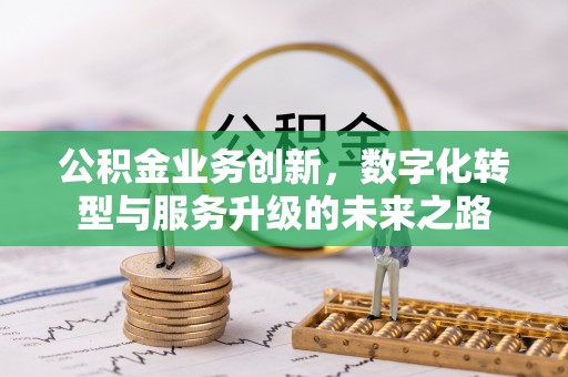达坂城公积金业务创新，数字化转型与服务升级的未来之路