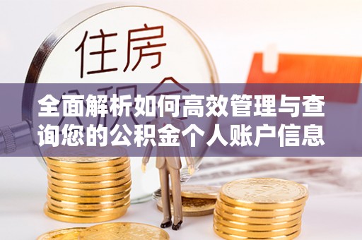 达坂城全面解析如何高效管理与查询您的公积金个人账户信息