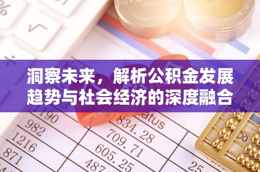 达坂城洞察未来，解析公积金发展趋势与社会经济的深度融合