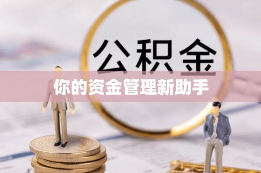 达坂城你的资金管理新助手