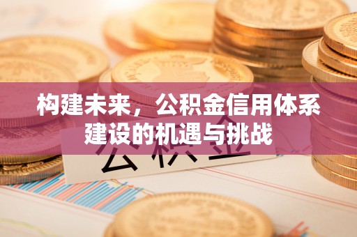 达坂城构建未来，公积金信用体系建设的机遇与挑战