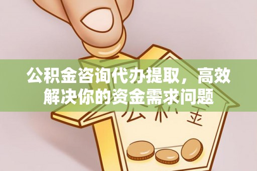 达坂城公积金咨询代办提取，高效解决你的资金需求问题